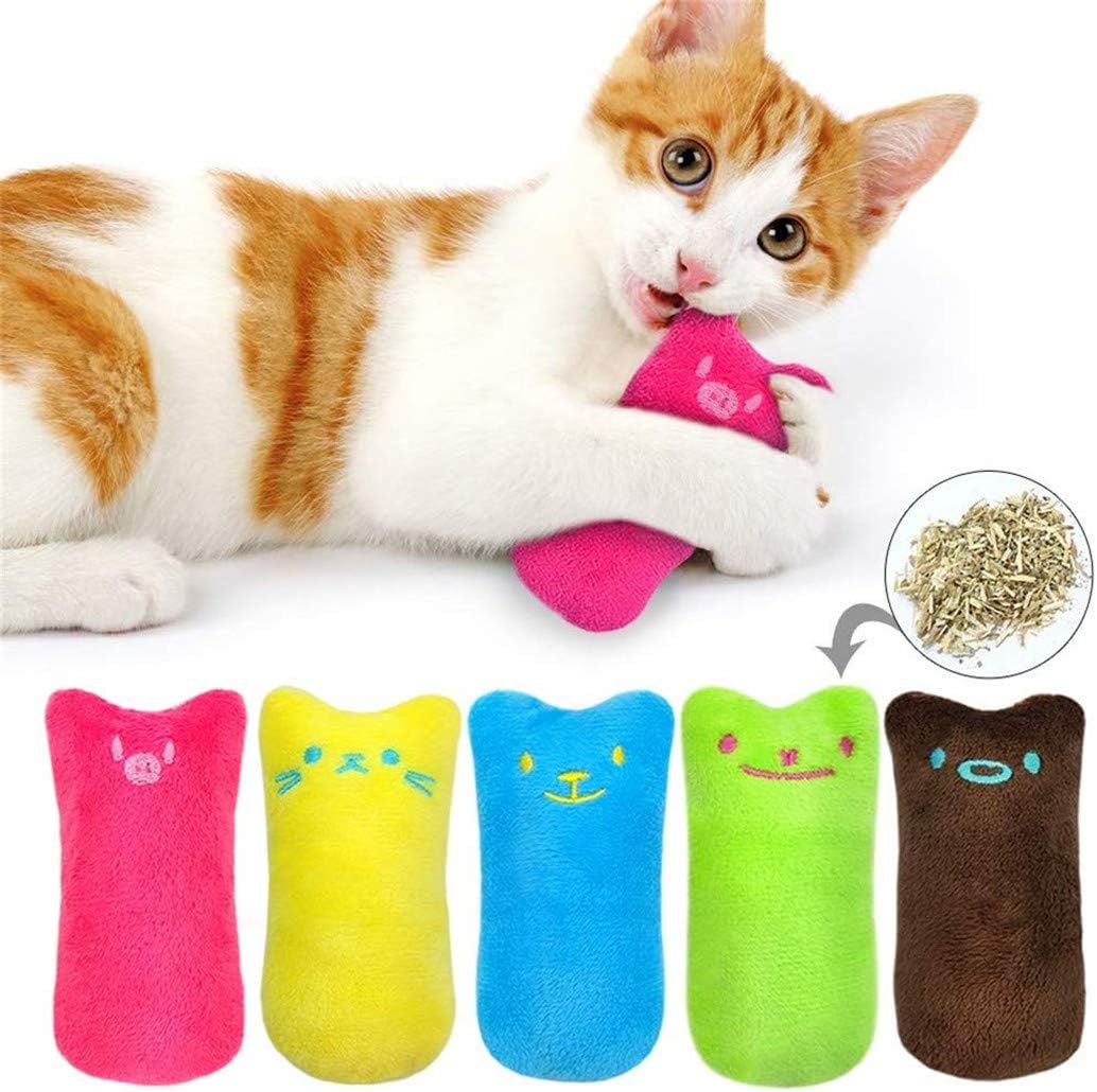 mint cat toy