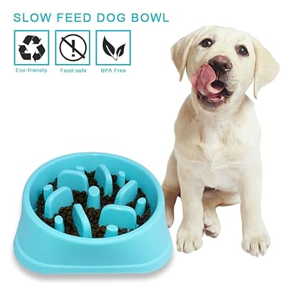 Buy Decyam Pet Fun Feeder Dog Bowl Slow Feeder Bloat Stop Maze