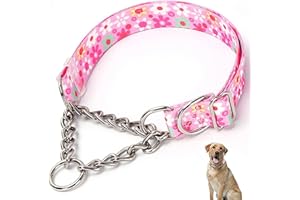 Dog Choker Collar for Large Dogs，Martingale Collar for Dogs,Slip Collar for Dogs,Training Heavy Duty No Pull Escape Proof Dog