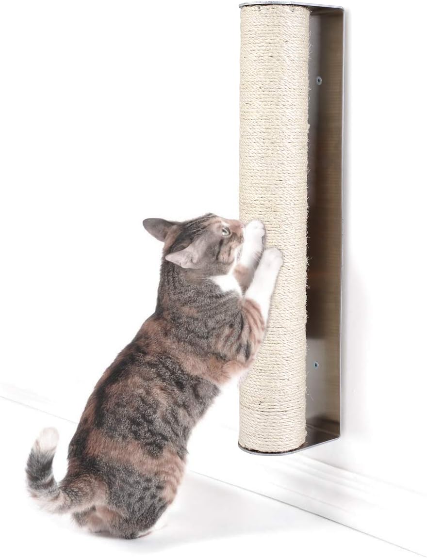Best a frame cat scratcher side table