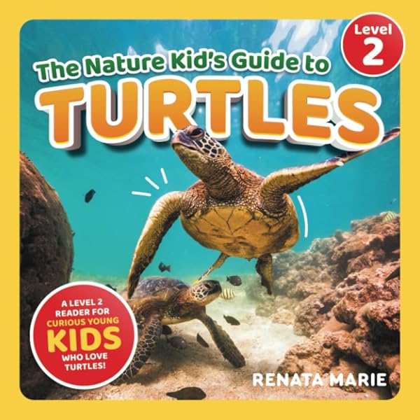 Amazon.com: Turtles (National Geographic Kids Readers, Level 1