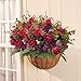 Grunyia Artificial Fake Flowers Silk Tiny Rose Flowers Wedding Bridal Bouquet Home Decoration,Pack of 4(Wine Red)