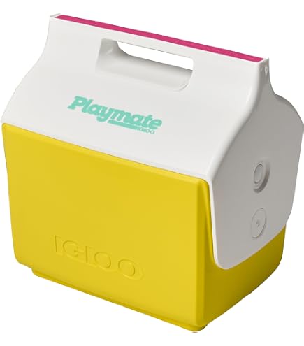 Glacière Igloo Playmate 14,8 L – Design Industriel Emblématique, Double Isolation, Contient 26 Canettes, Légère Et Solide