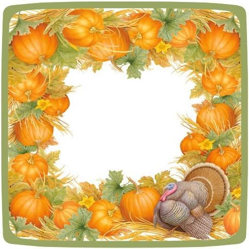 Amazon Com Thanksgiving Paper Plates Turkey Table Decorations