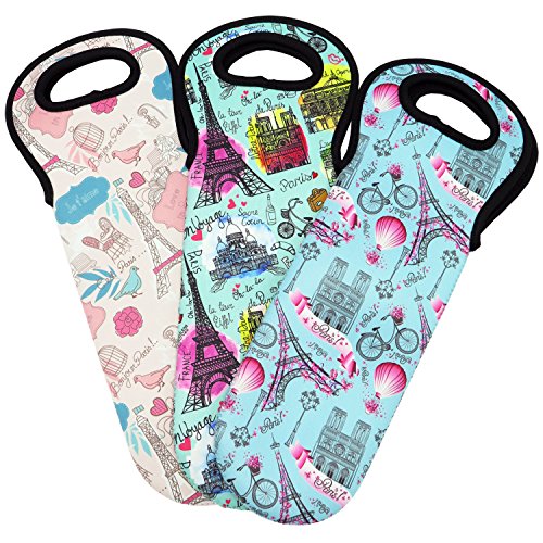 Wine Tote Carrier Bag / Purse For Champagne, Chardonnay, Water Bottles (Paris Designs)