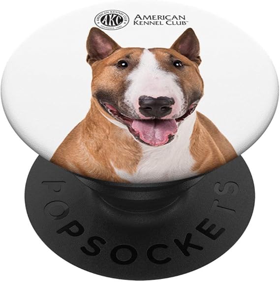 akc mini bull terrier