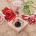 Anself Magnet Awaglass Hand-Blown Sand Timer Desktop Decoration 10 Second