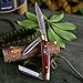 Buck Knives 303 Cadet Three 3 Blade Folding Pocket Knife