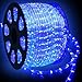 WYZworks 1656LEDs 150ft LED Outside Rope Lights, Outdoor ETL Certified Waterproof Permanent 360 Degree Light Emitting, Flexible Tube, Connectable, Christmas Palm Tree Exterior Landscape, Blue