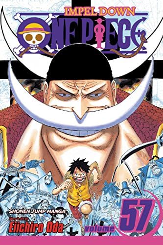 Amazon.com: One Piece Vol 47 (Japanese Edition): 9784088744117