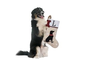 Shgngle 20 Inches Pets Initial Christmas Stocking,Dog Christmas Stocking Personalized with Dog Bone Hanging Wooden Ornament,Xmas Gifts for Pets(Letter L)