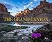 The Grand Canyon: Between River and Rim