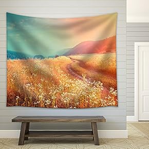Fantastic Foggy River with Fresh Grass in The Sunlight. Dramatic Unusual Scene - Fabric Wall Tapestry Home Decor - 51x60 inches