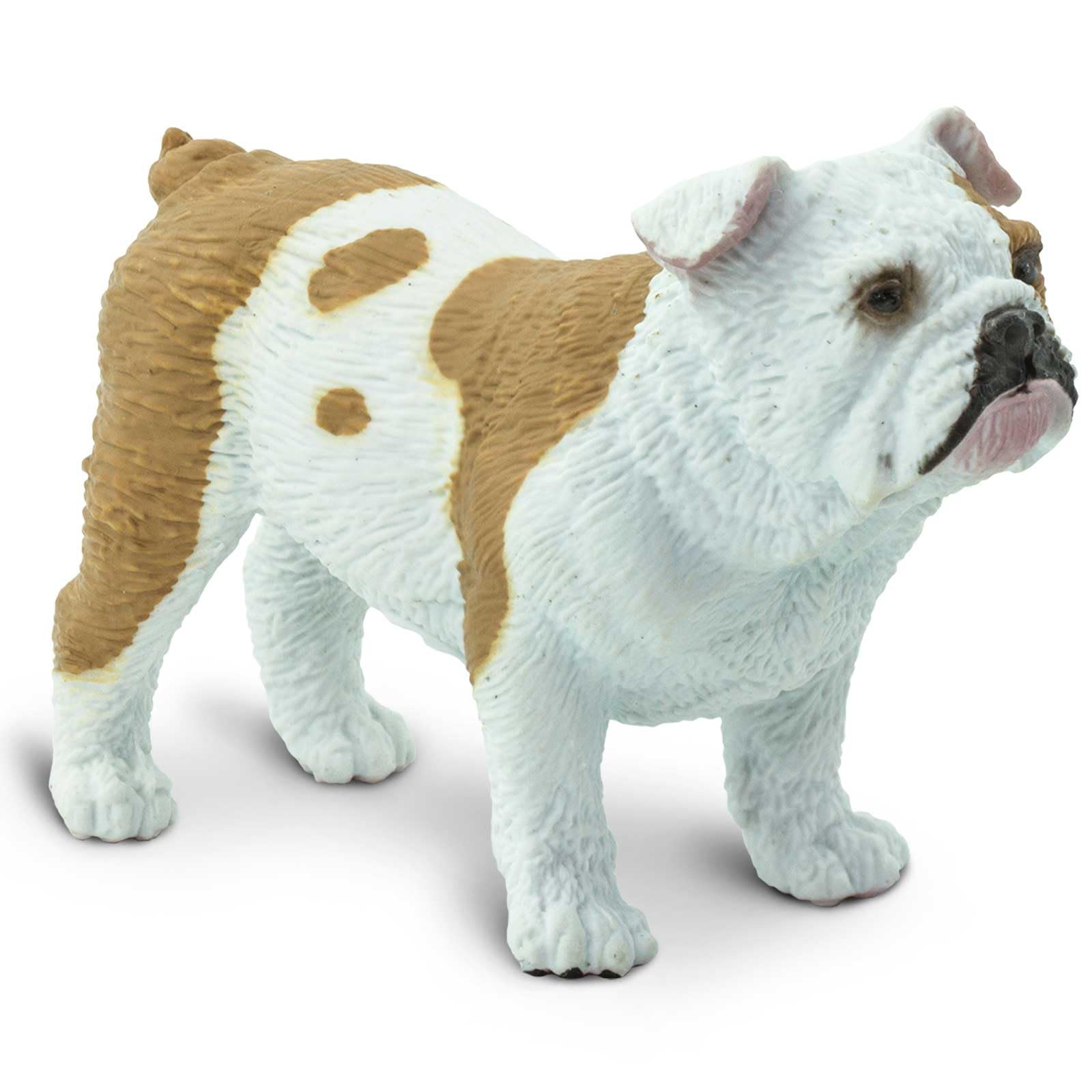 Safari S250729 Best in Show Dogs Bulldog Miniature