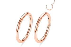 GAGABODY 2 Pcs Nose Rings 20G 18G 16G 14G 12G 10G 8G Surgical Steel Piercing Rings for Nose Septum Cartilage Helix Tragus Conch Rook Daith Lobe from 5mm to 16mm Seamless Hoop Unisex Hinged Earrings