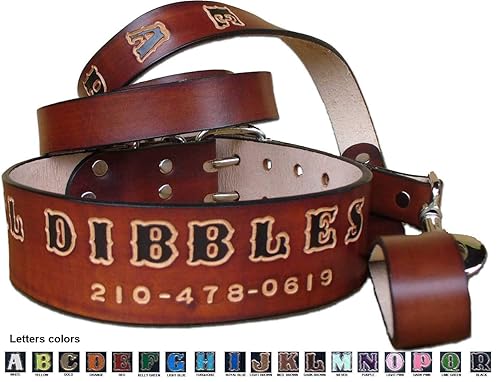 Mastiff Collar-Leash Set Personalized 