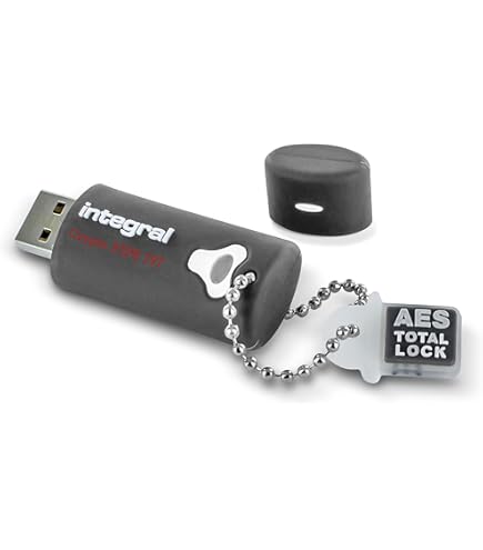 Amazon.com: Integral 4GB Crypto-197 256-Bit 3.0 USB Flash