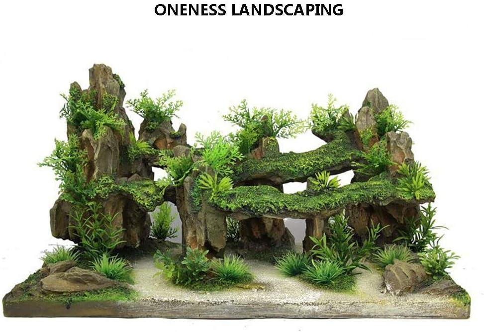 natural fish tank decorations