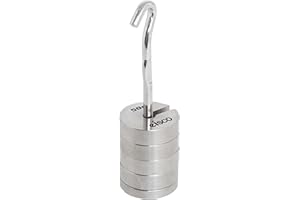 Eisco Labs Stainless Steel Mass and Hanger Set - 4 Slotted 50g Weights and Hanger, Total 250g