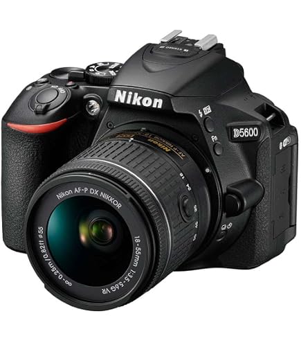 Amazon.com : Nikon 1576 D5600 DX-Format Digital SLR with AF-P DX