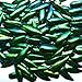 100 JEWEL BEETLE ELYTRA WINGS TAXIDERMY