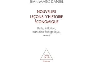 Nouvelles leçons d'histoire économique: Dette, inflation, transition énergétique, travail (French Edition)