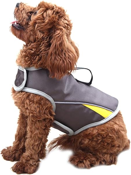 thunder shirts for dogs amazon