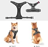PoyPet No Pull Dog Harness Reflective Front Chest Clip Adjustable Small Black view 6