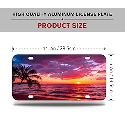 Sunset Tropical Beach with Palm Tree License