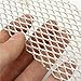 New 2x4 Inch Mesh Platinized Titanium Anode Plating Rhodium Palladium