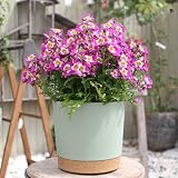 ZMTECH 25cm Plant Pots Modern Planters with Drainage Holes Set of 2 Green view 5
