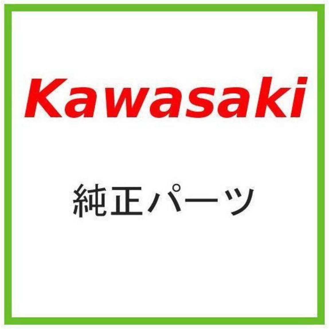 Kawasaki Replacement Part # 16183-2006 float-assy