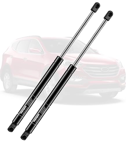 Lot De 2 Vérins à Gaz Pour Hayon Hyundai Santa Fe Fe 2007
