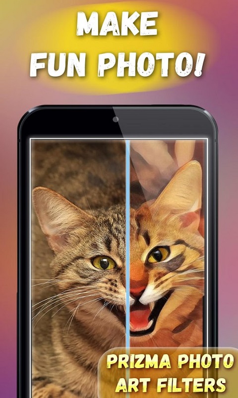 Prizma Photo Art Filters