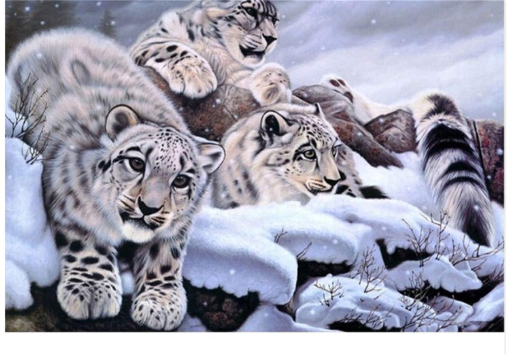 1000 puzzle yougest snow leopard exploring