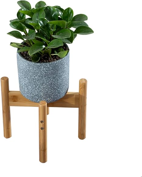 Amazon Co Jp Getteer フラワースタンド 植木鉢台 鉢置台 花台 花台用品 竹製 鉢スタンド 屋外室内 園芸 ラック 棚 鉢植え スタンド 盆栽棚 軽量 頑丈 屋外 室内 19 5cm Diy Tools Garden