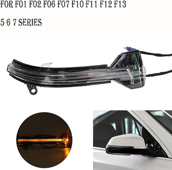 Amazon.com: Ricoy For Bmw F10 F07 F06 F12 F13 F01 Rear View LED Side Mirror Marker Turn Signal ...