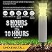 LowVoltz Solar 6 Pack Stainless Steel Solar LED Path Lights. Outdoor Solar Pathway Lights Garden, Yard Walkway. Modern Design, Solar Path Landscape Lighting, Longest Charge (Stainless Steel Square)