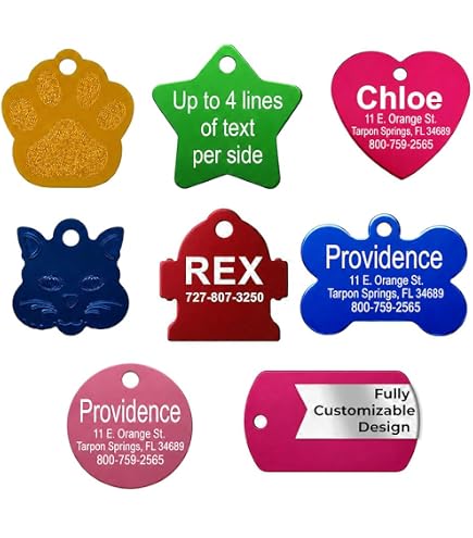 Amazon.com: LuckyPet Pet ID Tag - Funny Dog & Cat Tag: Oh Shit