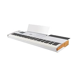 Arturia KeyLab 88 mk3 88-key Weighted Hammer-action