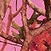 Havercamp Pink Camo Beverage Napkins | 16 Count | Next Vista Pattern | Great for Bridal Themed Events, Bachelorette Party, Mother's Day, Baby Shower