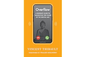Overflow: A Buddhist Guide to Navigating the Chaos of the Digital Age