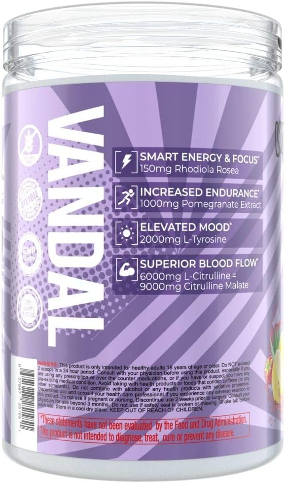 Vandal | Pre Workout Powder - All Natural & Safe Nootropic Pre Workout Supplement for Men & Women | Boosts Energy, Focus, Performance & Recovery | No Tingles, No Jitters, No Crash. | 40 Servings.: Health & Personal Care