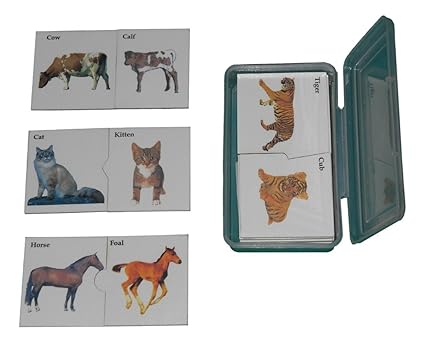 Kido Toys Animals & Babies (Young Ones) Pairing Cards Wooden - Match & Learn