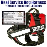 barkOutfitters Service Dog Vest Harness + 50 ADA Info Cards Kit (Red, XL (30