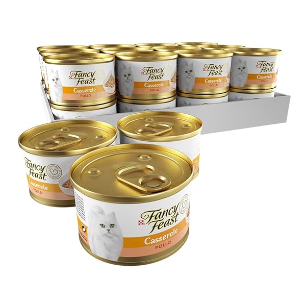FANCY FEAST GRAVY LOVERS CHICKEN FEAST IN GRILLED CHICKEN FLAVOR GRAVY GOURMET CAT FOOD, CASE OF 24