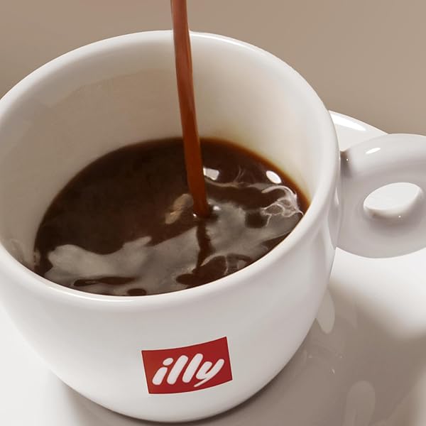 ILLY GROUND COFFEE MOKA – 100% ARABICA FLAVORED COFFEE GROUND – RICH AROMATIC COFFEE GROUNDS PROFILE – CLASSICO MEDIUM ROAST – NOTES OF CARAMEL, ORANGE BLOSSOM & JASMINE – NO PRESERVATIVES – 8.8 OUNCE