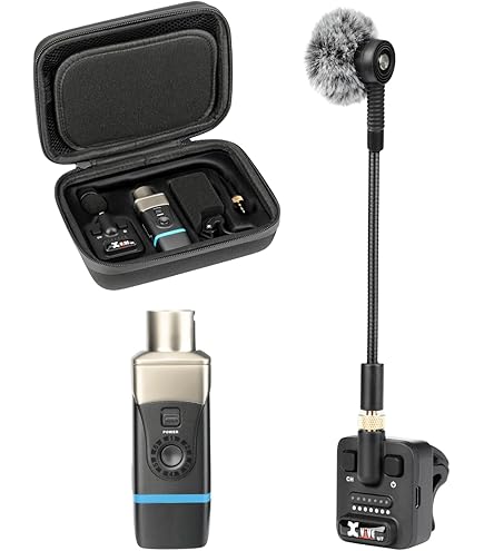Amazon.com: AKG Pro Audio WMS40MINI Wireless Microphone System