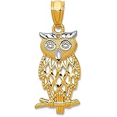 JewelryWeb 14k Yellow Gold Textured Polished With Rhodium Owl Pendant Necklace 24.1x9.9mm Pendant for Women