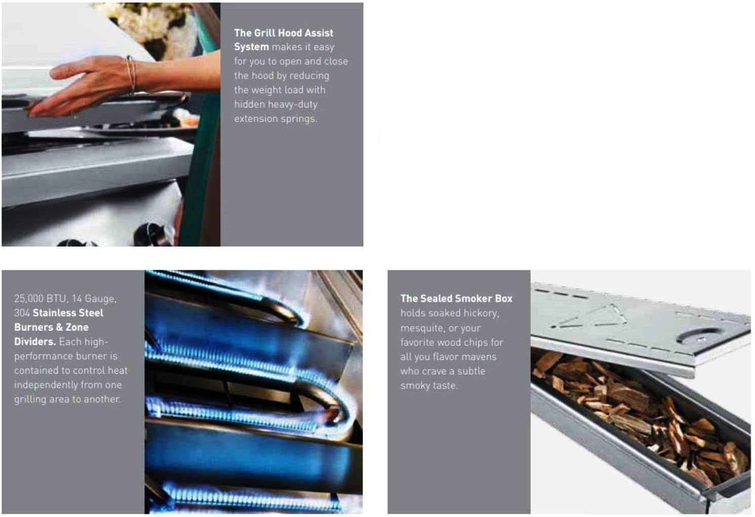 review Twin Eagles Built-In Grill (TEBQ42G-C-L), 42-Inch, Propane Gas